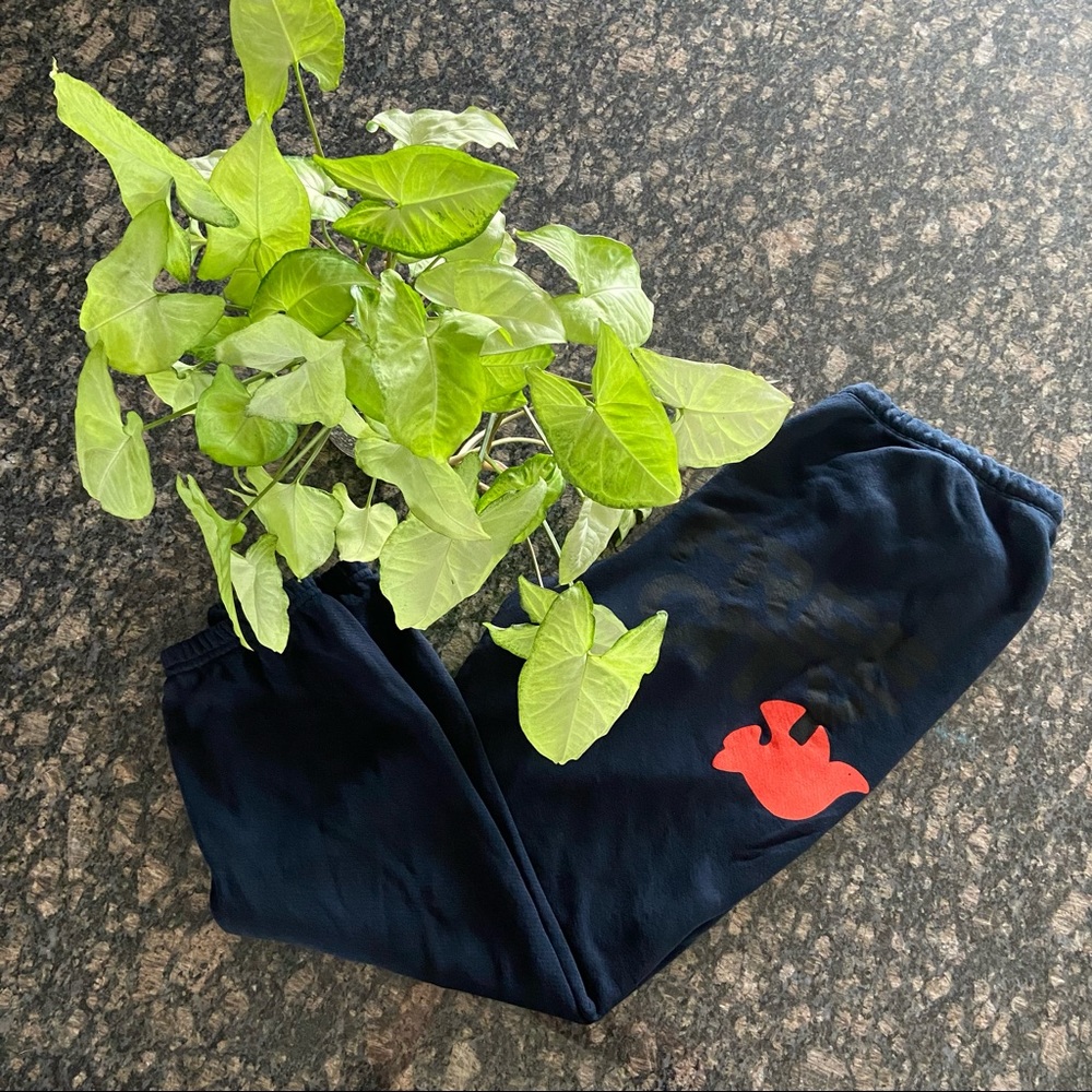 FREECITY SuperFluff Lux OG Sweatpant Deepspace